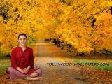 Hansika